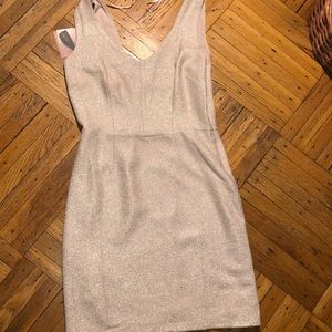 NEW BLUSH/GOLD DRESS
